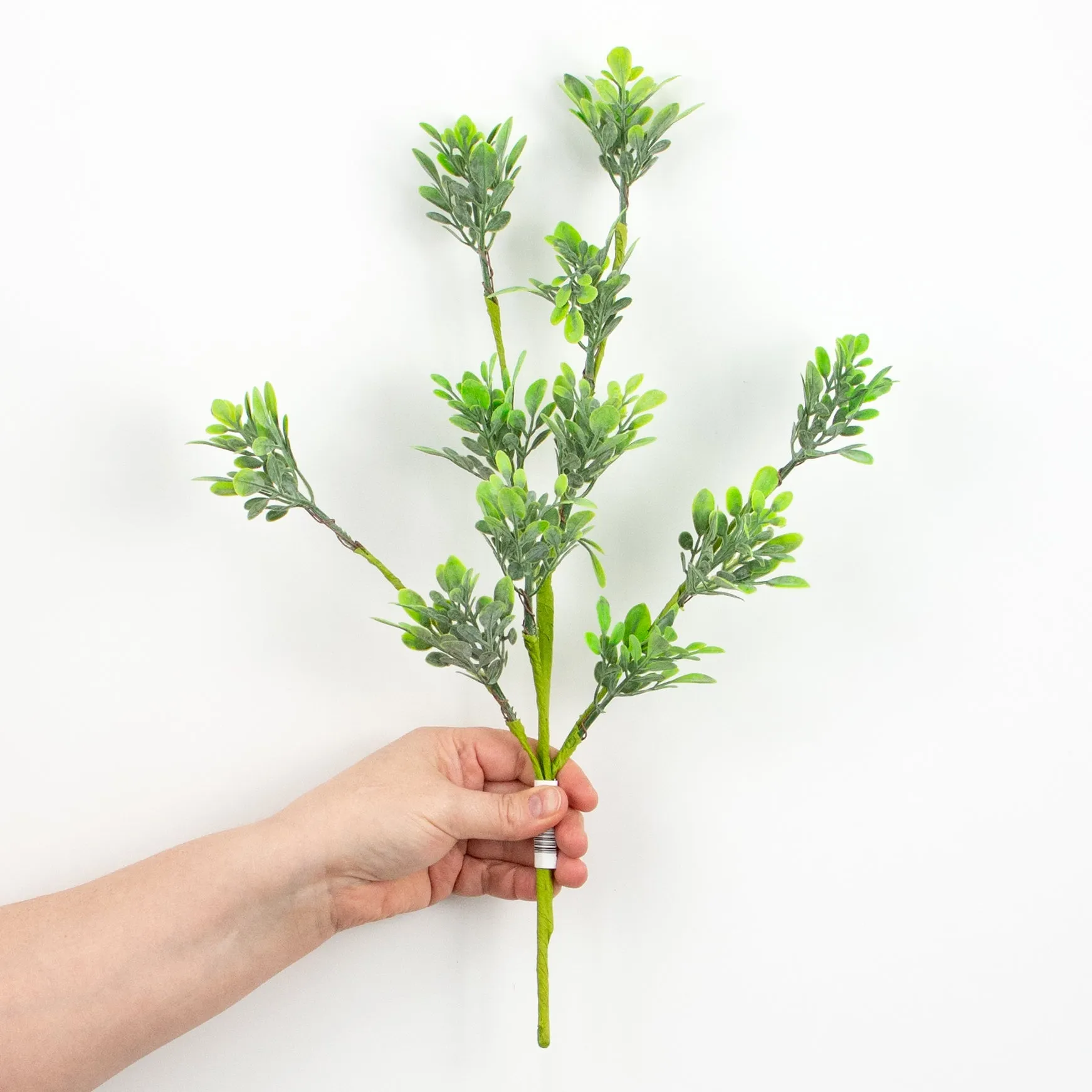 18" Oregonia Greenery Leaves Pick