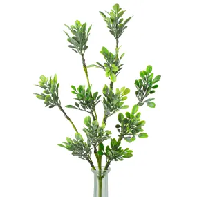18" Oregonia Greenery Leaves Pick