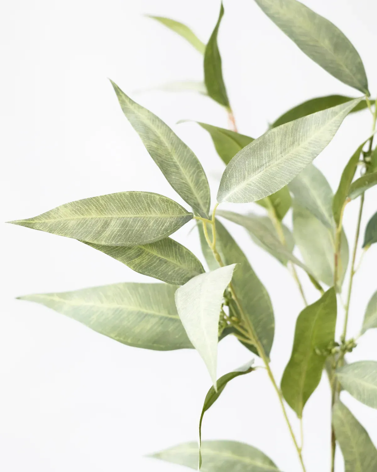 EUCALYPTUS SPRAY GREEN- 97CM