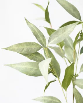 EUCALYPTUS SPRAY GREEN- 97CM
