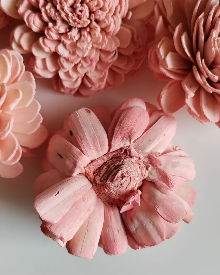 Luna Sholapith DIY Flower Bunch | Vase Not Included | 11 Flower Heads