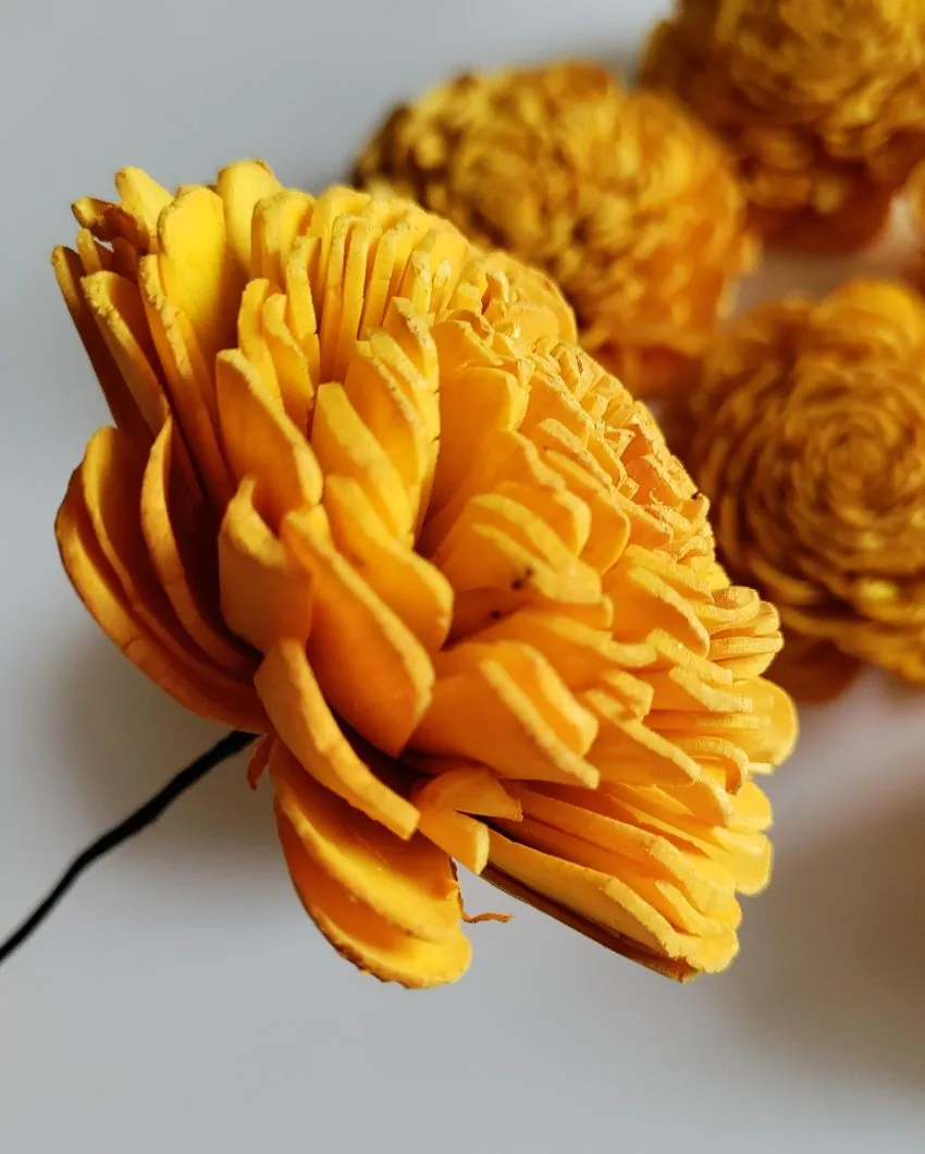 Luna Sholapith DIY Flower Bunch | Vase Not Included | 11 Flower Heads