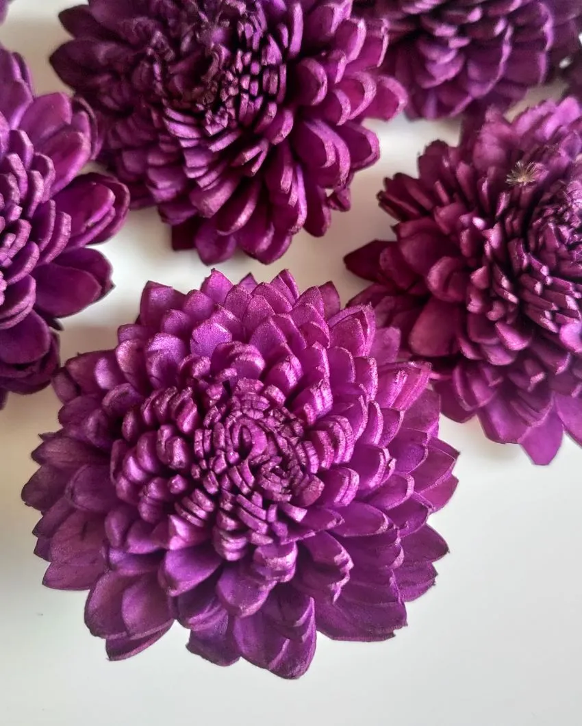 Luna Sholapith DIY Flower Bunch | Vase Not Included | 11 Flower Heads