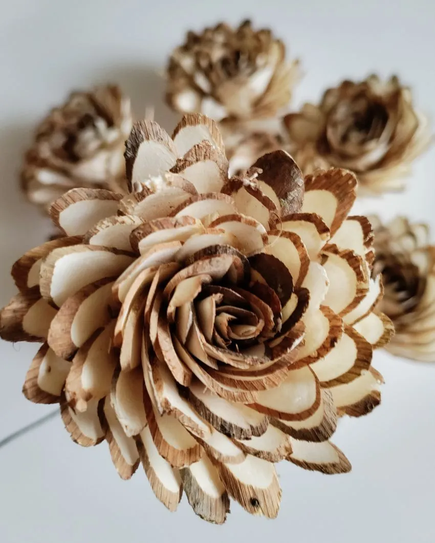 Luna Sholapith DIY Flower Bunch | Vase Not Included | 11 Flower Heads