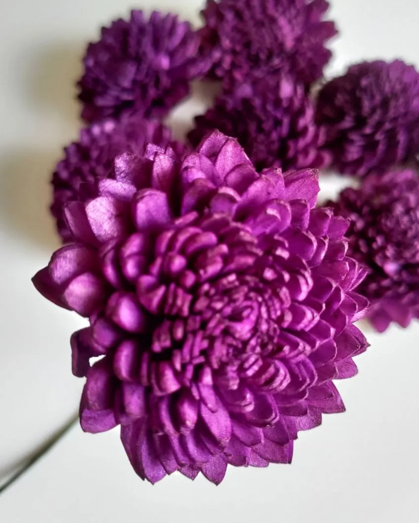 Luna Sholapith DIY Flower Bunch | Vase Not Included | 11 Flower Heads