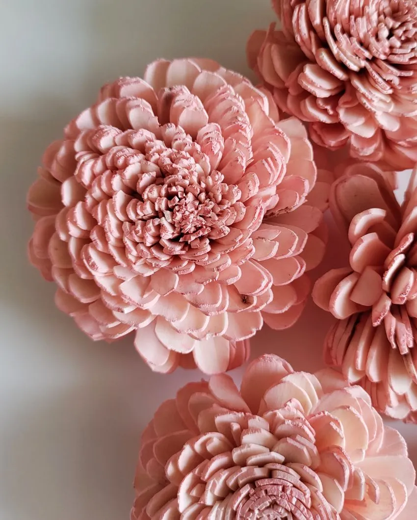 Luna Sholapith DIY Flower Bunch | Vase Not Included | 11 Flower Heads