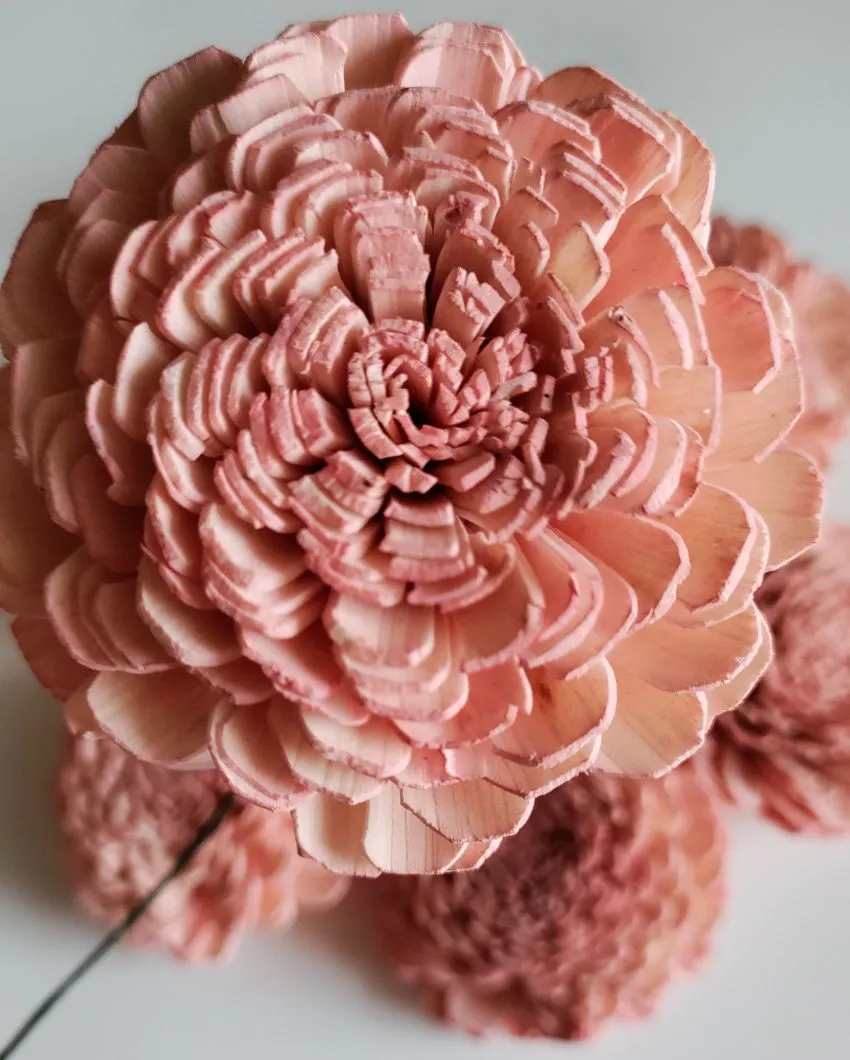 Luna Sholapith DIY Flower Bunch | Vase Not Included | 11 Flower Heads