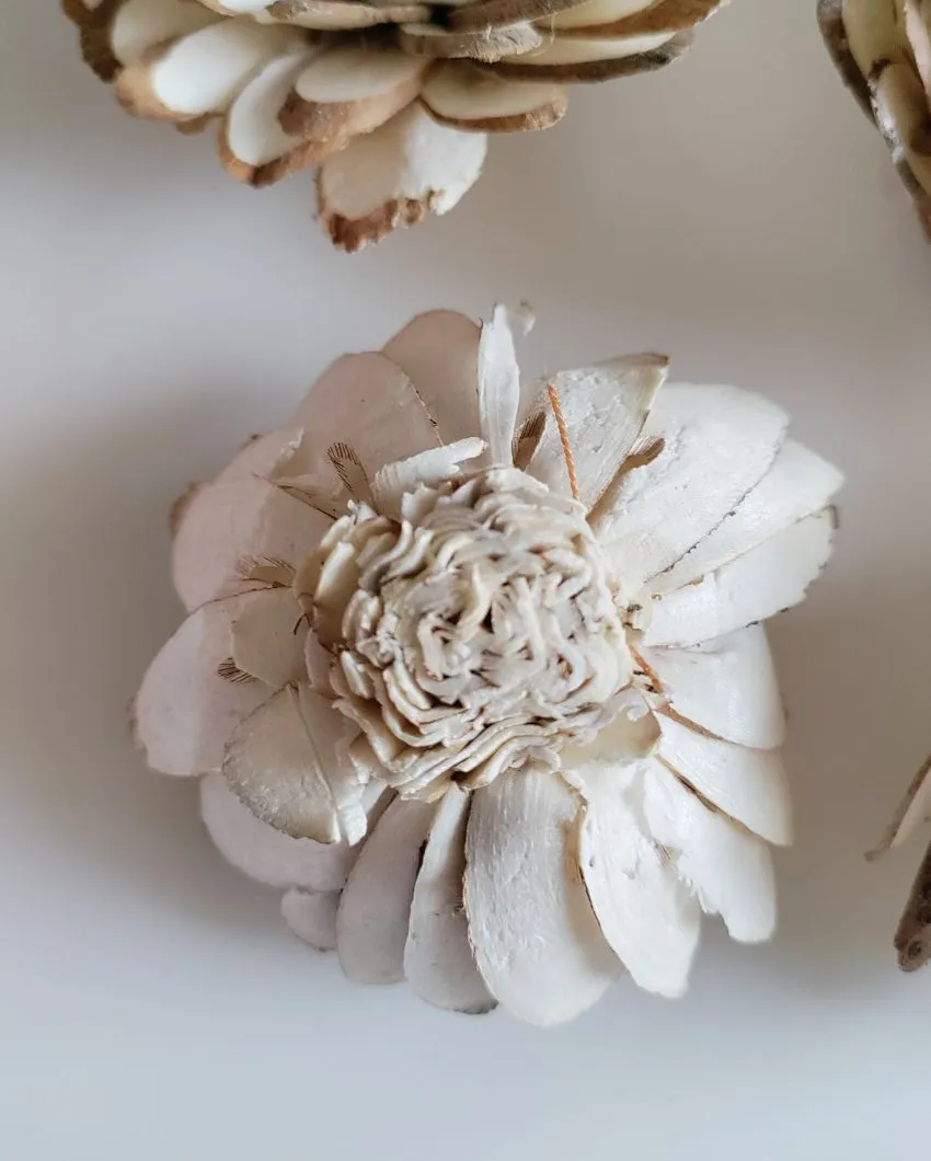Luna Sholapith DIY Flower Bunch | Vase Not Included | 11 Flower Heads