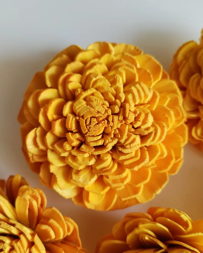 Luna Sholapith DIY Flower Bunch | Vase Not Included | 11 Flower Heads