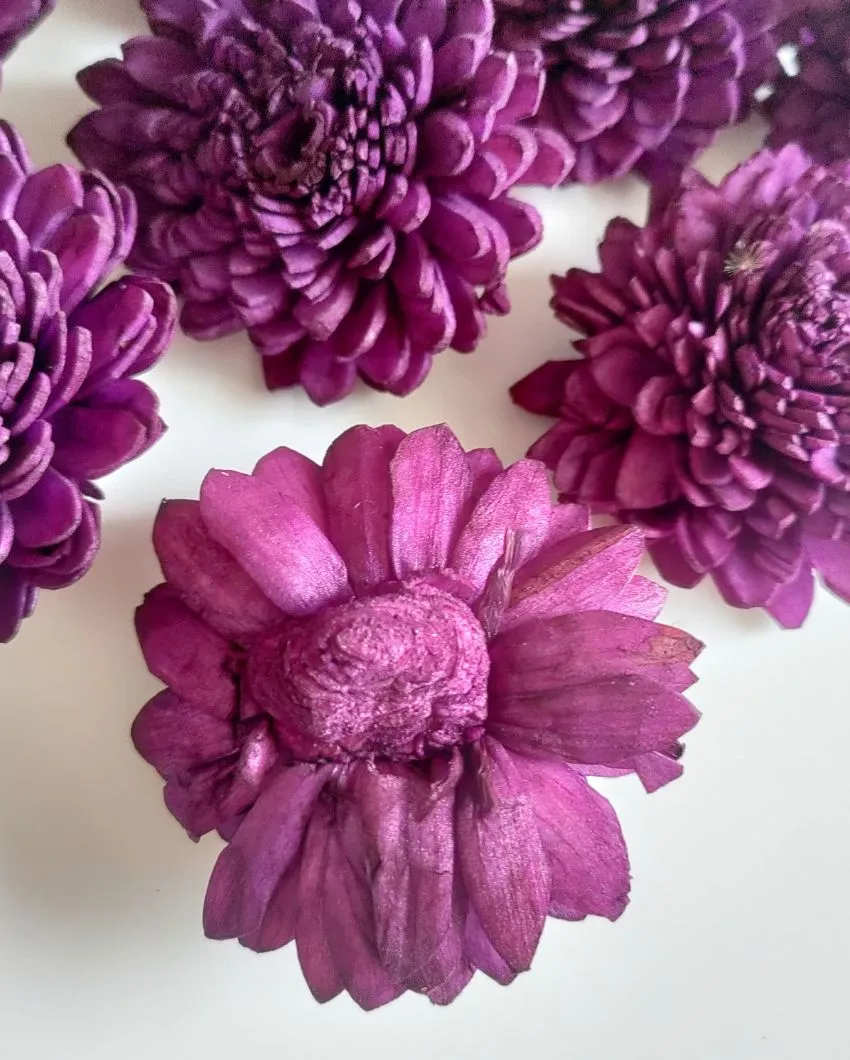 Luna Sholapith DIY Flower Bunch | Vase Not Included | 11 Flower Heads