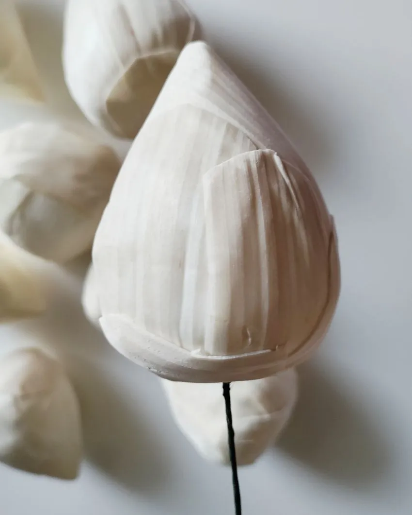 Luna Sholapith DIY Flower Bunch | Vase Not Included | 11 Flower Heads