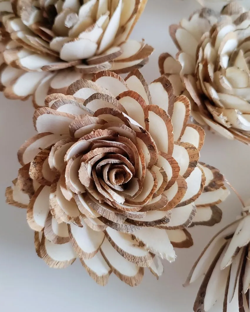 Luna Sholapith DIY Flower Bunch | Vase Not Included | 11 Flower Heads